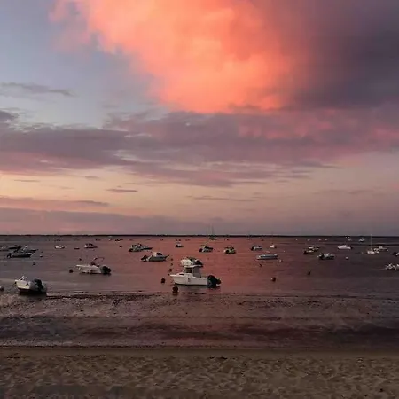 別荘 Maison A Avec Piscine Hors-sol アルカション